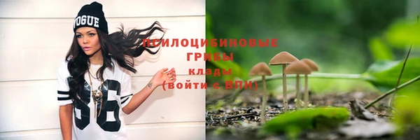 спиды Арсеньев