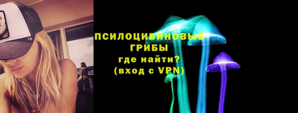 спиды Арсеньев